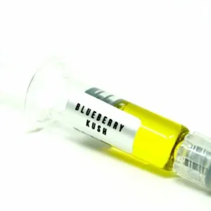 BLUEBERRY KUSH – SYRINGE